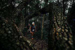 BIB: 
                            <button type="button" onclick="openModal(25677036)" class="btn btn-primary btn-sm float-right btn-popup" data-toggle="modal" data-target=".modal-high-quality">
                        <i class="fas fa-shopping-cart"></i> Add to Cart
                    </button>
                                            <button type="button" onclick="isThisMe(25677036, true)" class="btn btn-success btn-sm float-right btn-popup btn-isme hidden" data-toggle="tooltip" data-placement="bottom" title="นี่คือรูปของคุณใช่ไหม คลิกที่นี่เพื่อเอาเข้าอัลบั้ม">
                        <i class="fas fa-plus"></i> Add to album
                    </button>
                    <button type="button" onclick="isThisMe(25677036, false)" class="btn btn-warning btn-sm float-right btn-popup btn-isnotme hidden">
                        <i class="fas fa-ban"></i> Remove from album
                    </button>